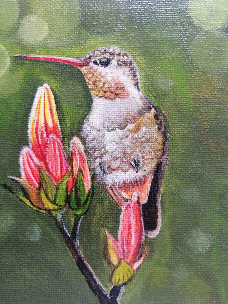 Colibrí en Primavera